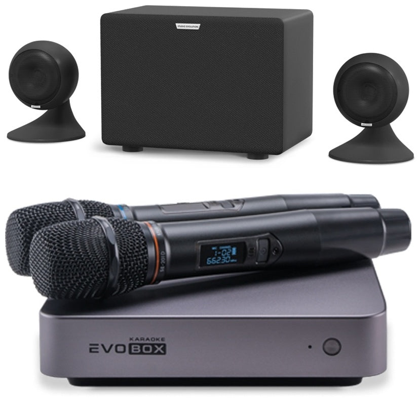 Комплект EVOBOX + EvoSound Sphere + SE 200D