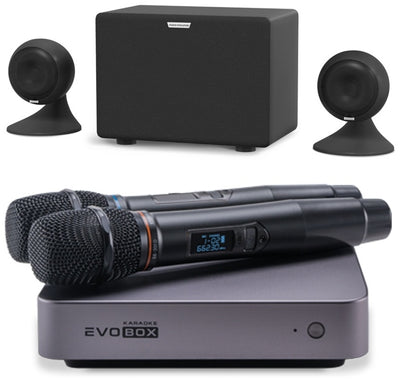Комплект EVOBOX + EvoSound Sphere + SE 200D