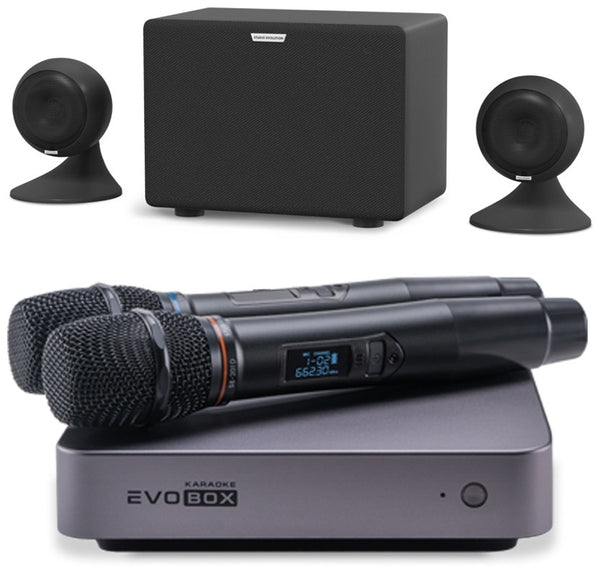 Комплект EVOBOX + EvoSound Sphere + SE 200D
